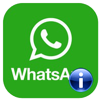 Что такое WhatsApp и как им пользоваться? Информация новичкам