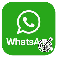 Реклама через WhatsApp, как запустить. Отзывы о сервисе