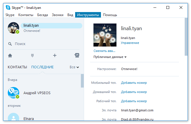 Вкладка Инструменты в Skype