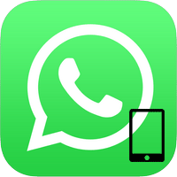 Скачать WhatsApp для iPad