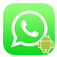 WhatsApp для Android скачать бесплатно